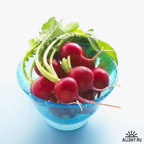 Fresh Healthy Food/Свежее Здоровое питание