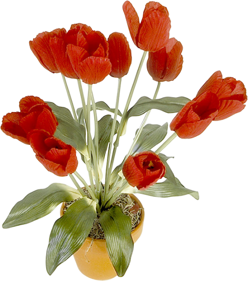 Tulips Bouquet Букеты из тюльпанов
