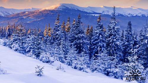 Подборка фото красивой зимней природы 2
