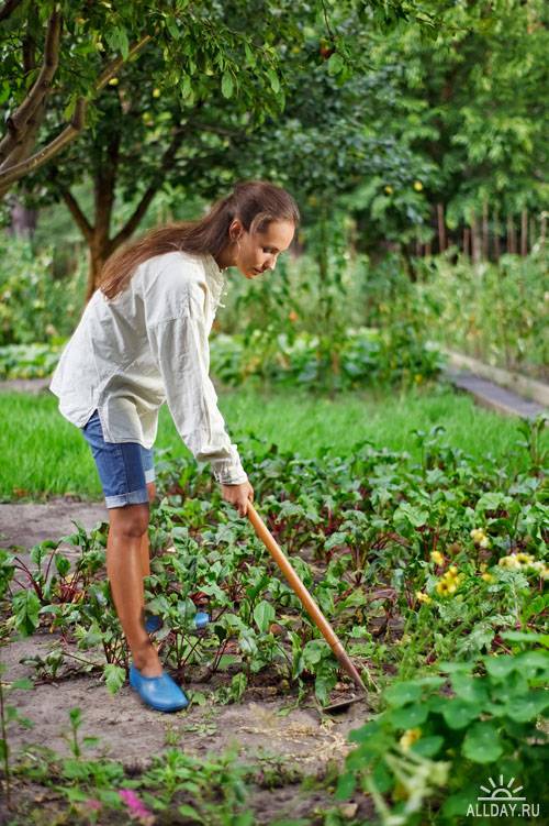 Stock Photo: Working in the garden | Работа в саду