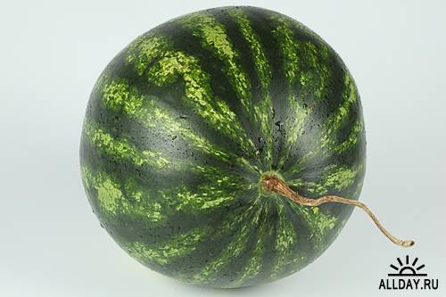 Stock Photos - Watermelon/Арбуз