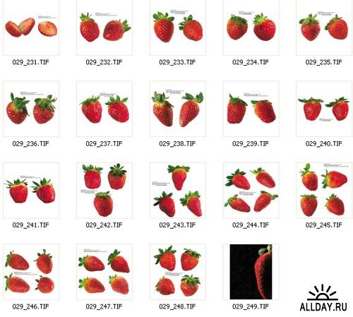 Strawberry | Клубника
