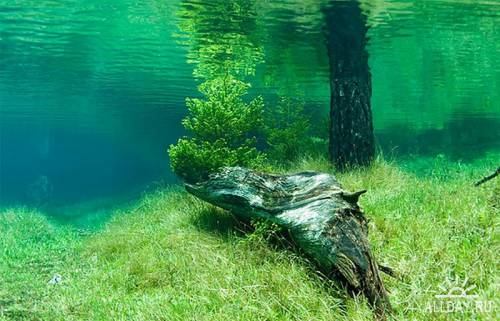 Прекрасное Зеленое озеро