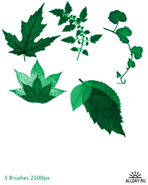 3 набора кистей листьев / Leaf Brushes