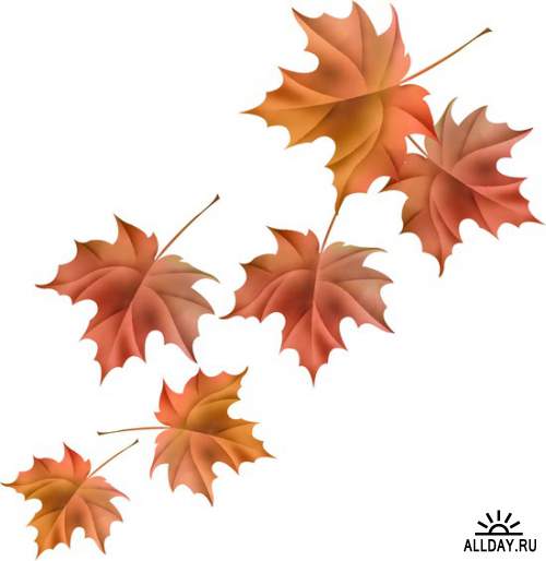 Осень - набор элементов для графических работ