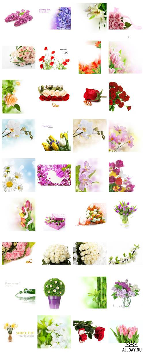 Super flower cards collection. All my posts