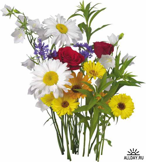 Flowers - bluebells & tinklers 3 | Цветы - колокольчики 3