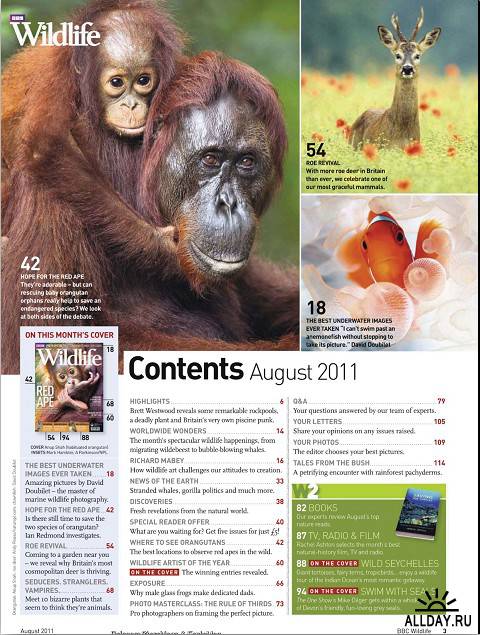 BBC Wildlife №8 (August 2011 UK)