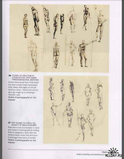 Gottfried Bammes (The Artist's guide to human anatomy)