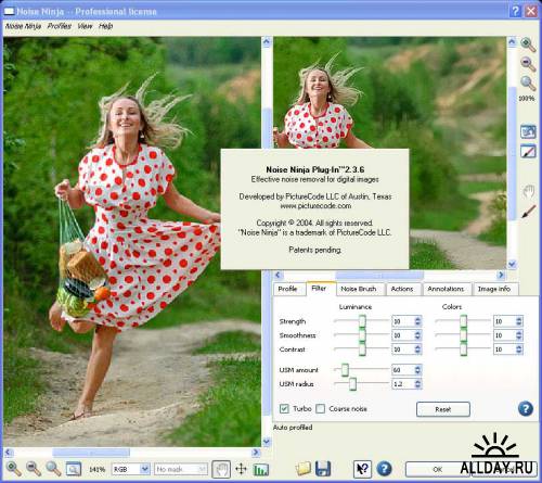 PictureCode Noise Ninja 2.3.6 for Photoshop (x32/x64)  + Russian Help от Семова А.В. + Шумовые профили типовых фотокамер