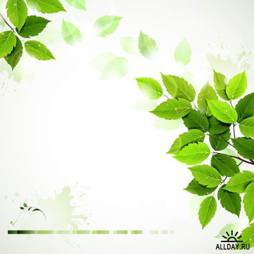 Зеленые листья - Векторный клипарт | Green leaves - Stock Vectors