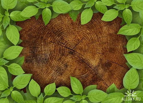 Деревянные фоны с листьями | Wooden background with leaves - UHQ Stock Photo