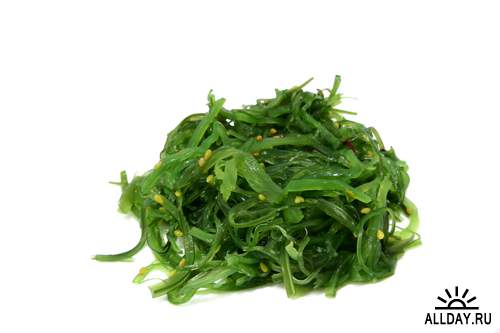 Морская капуста - Растровый клипарт | Seaweed - UHQ Stock Photo