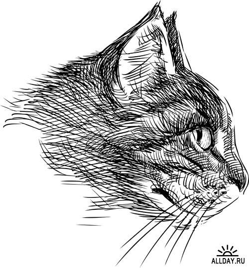 Чудесные котята #8 - Векторный клипарт