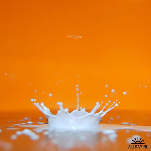 Works by ovidiupop. Milk&Water Drops