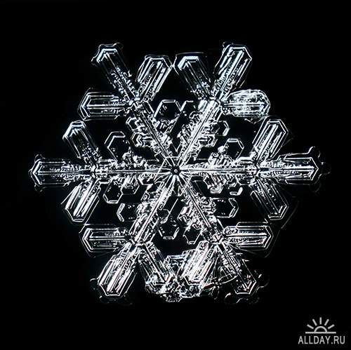 Растровый клипарт - Снежинки и кристаллы льда