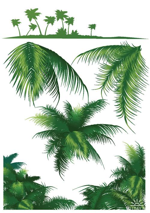 Пальмовые листья в векторе | Palm leaves - Stock Vectors