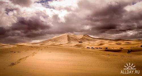 Desert | Пустыня - Высококачественный растровый клипарт. Photostock