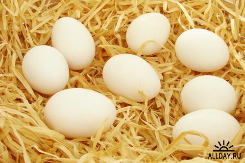 Eggs - Куринные яйца