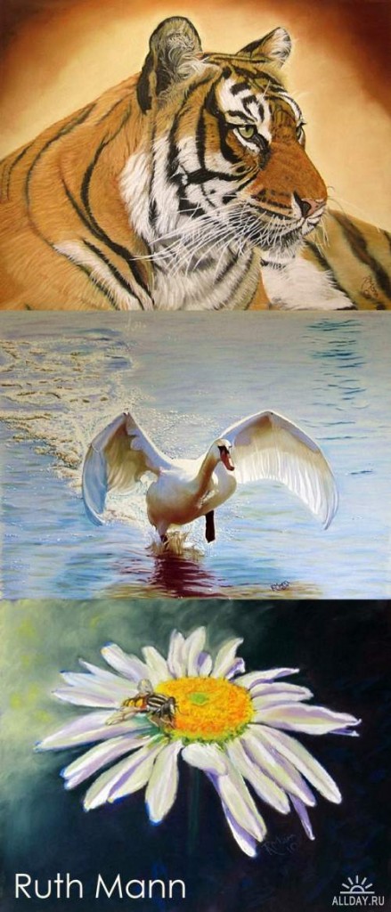 GWlwLNmnTH.jpg