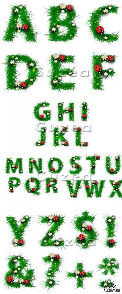 GhXcpFdrJt.jpg