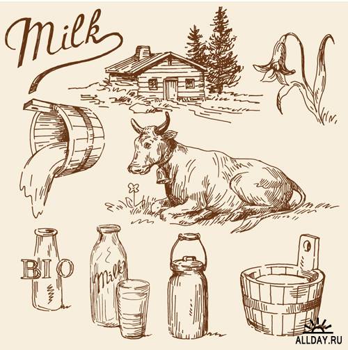 Milk - Stock Vectors | Молоко