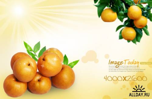 ImageToday Design Source часть 2